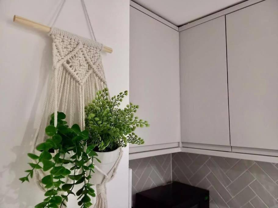 Flash Sale Kemptown 1 Bedroom Flat Bn236Stg04 Brighton Ngoại thất bức ảnh